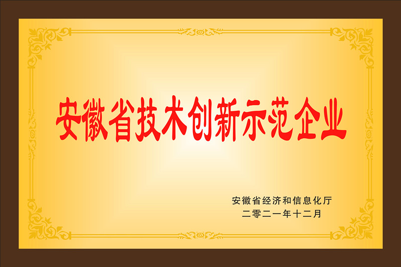 安徽省技術(shù)創(chuàng)新示范企業(yè)